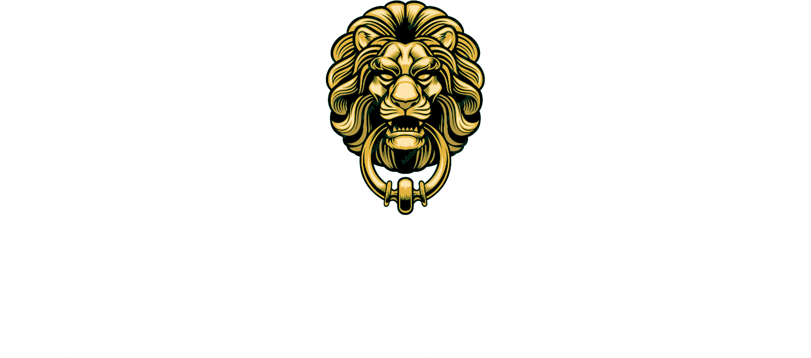 Delhi Mall logo